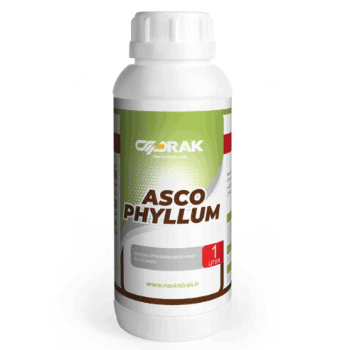 کود آسکــو فیلــوم دراک