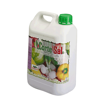 کود کورت سال کورتسا