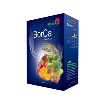 کود بورکا بیوزر