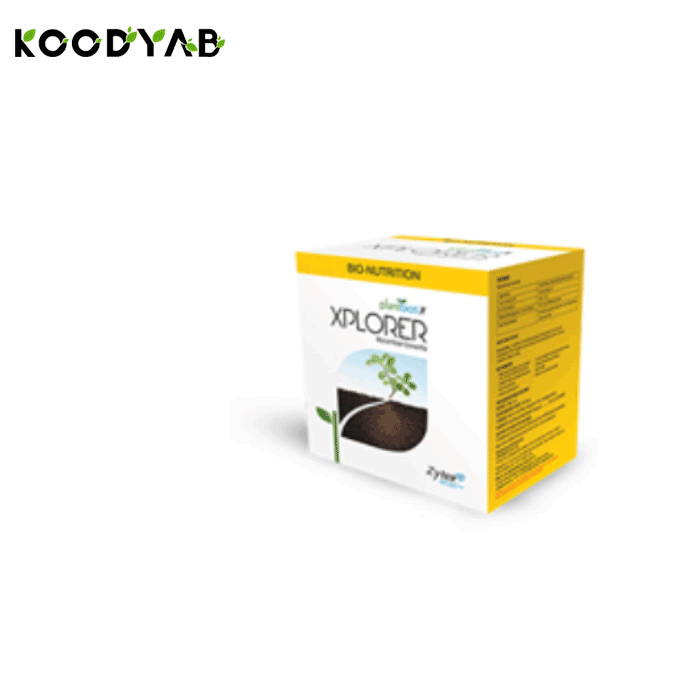 کود ایکس پلورر زیتکس