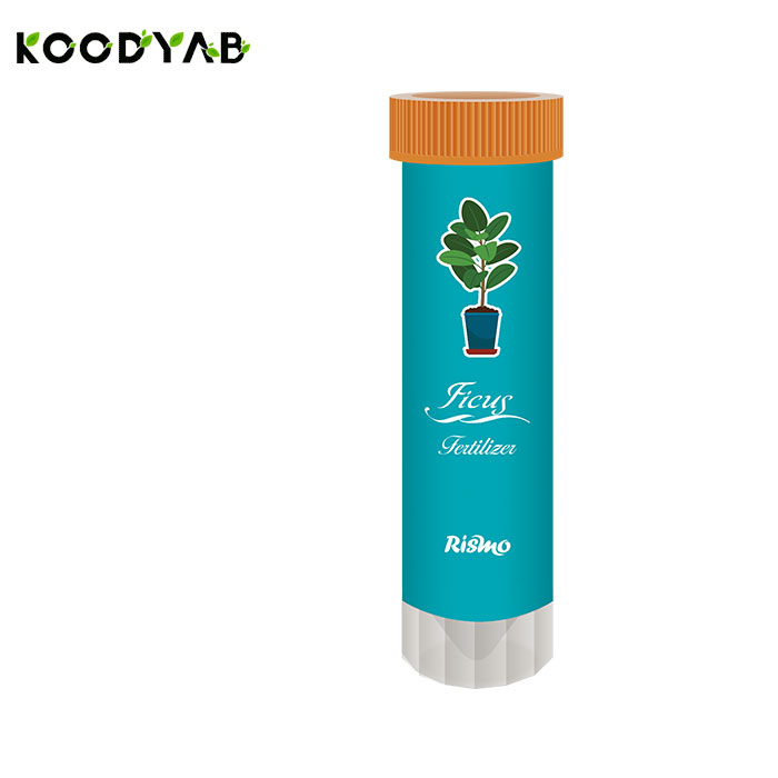 کود فیکوس ریسمو