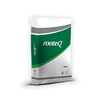 کود مونو پتاسیم فسفات روتک