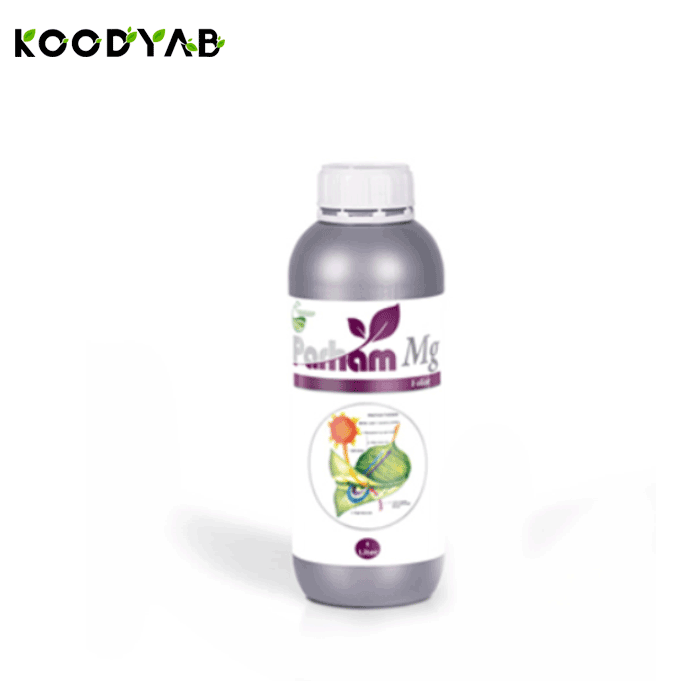 کود  منیزیم 6 پرهام