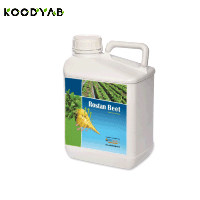 کود چغندر قند رستان  