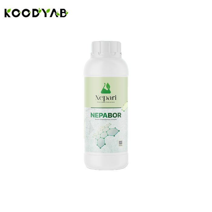 کود بوراتانول آمین نپاری 