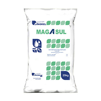 کود ماگاسول آنورل