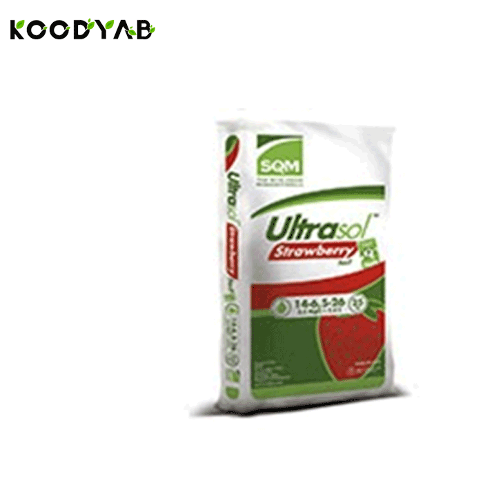 کود اولتراسول توت فرنگی اس کیو ام