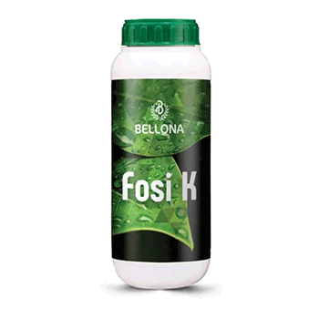 کود فسی پتاس بلونا