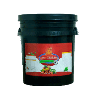 کود بن چیکو بن شت