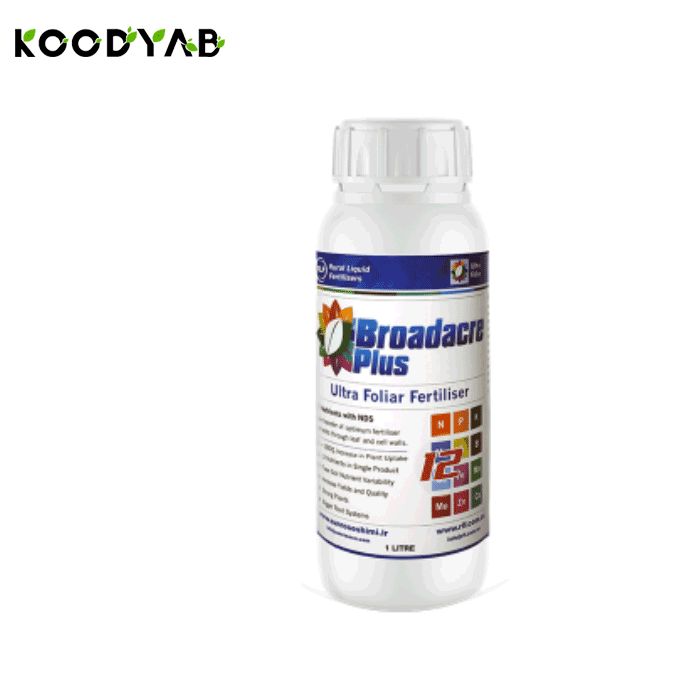 کود برادیکر سان رز