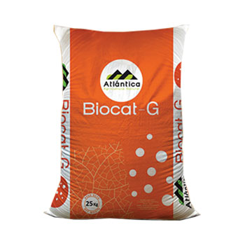 کود بیوکت جی آتلانتیکا