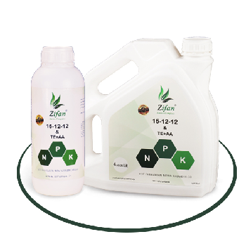 کود 12 12 15 زیفان