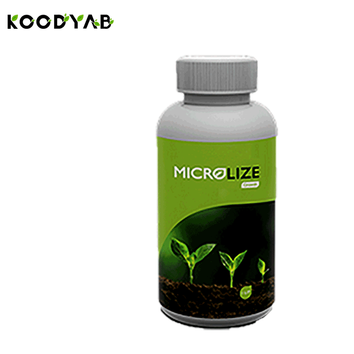 کود رشد میکرولایز