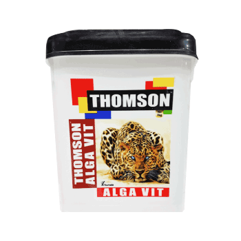 کود تامسون آلگاویت هومت 