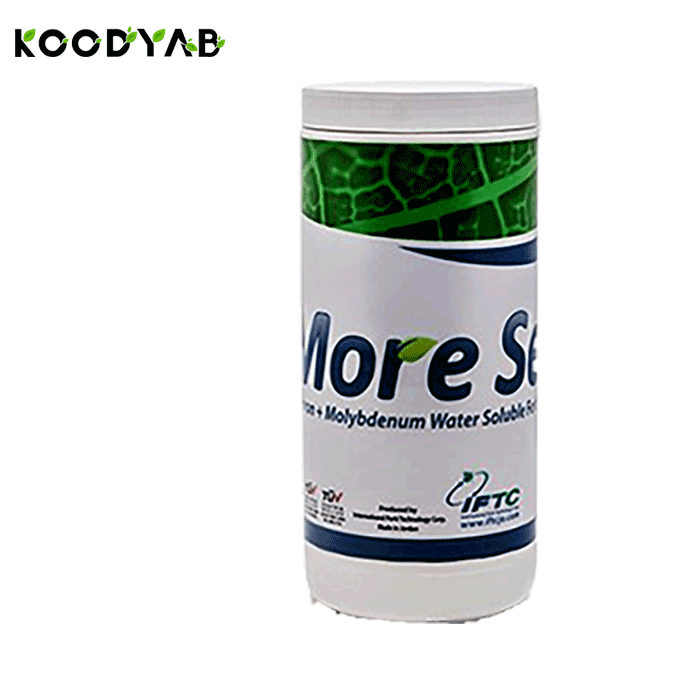 کود مور ست آی اف تی سی