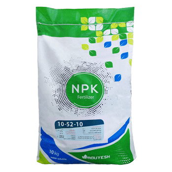 کود 10 52 10  رویش