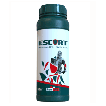 کود اسکورت سوپرمکس