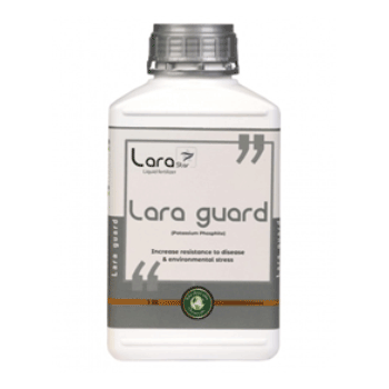 کود گارد لارااستار