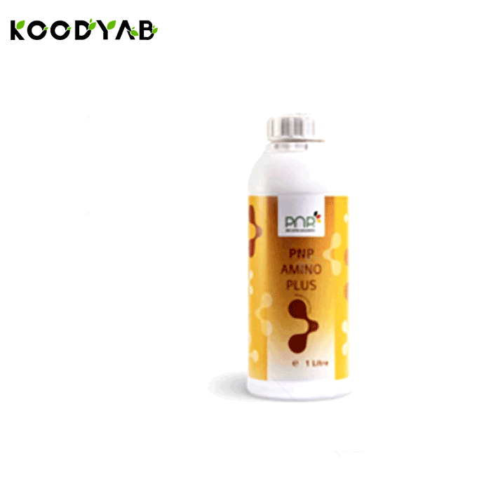 کود آمینو پلاس پی ان پی