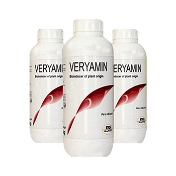 کود وری آمین آی ام جی