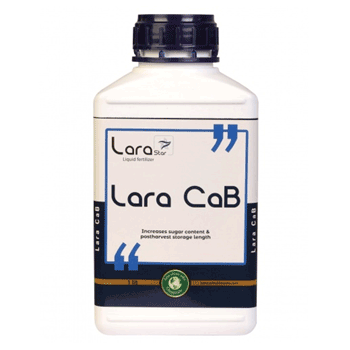 کود کلسیم و بور لارااستار