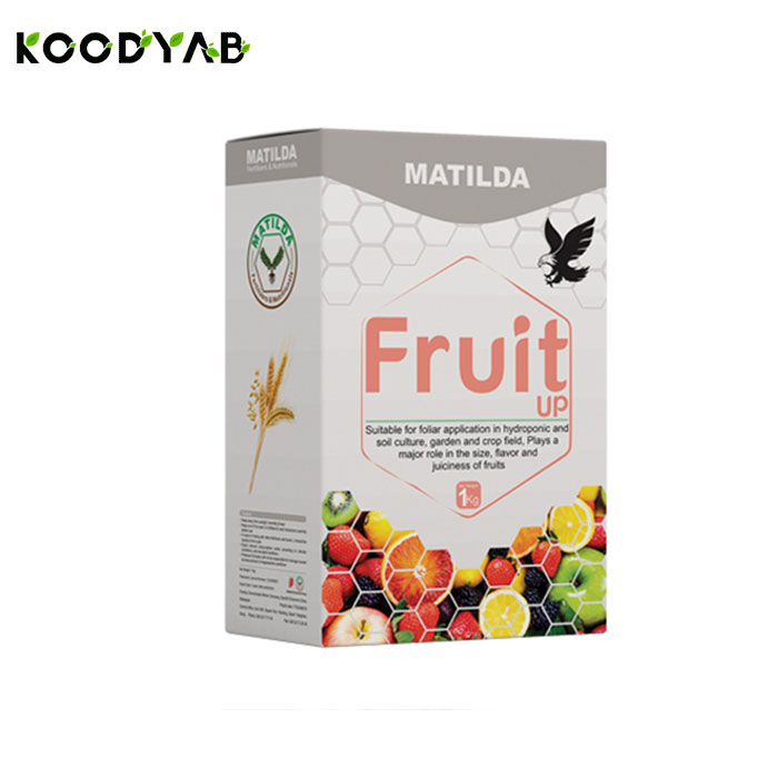 کودفروت آپ ماتیلدا