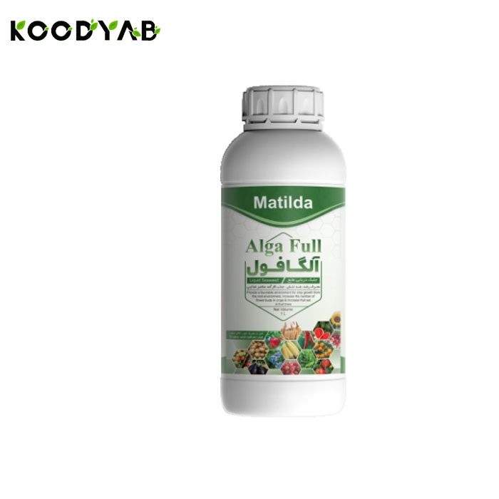 کود آلگافول مایع ماتیلدا