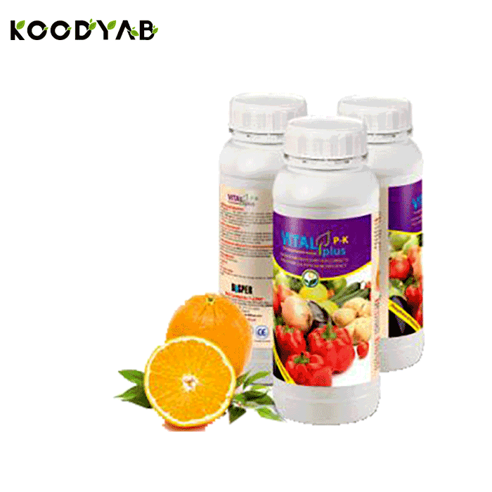 کود ویتال پلاس پی کا داتیس