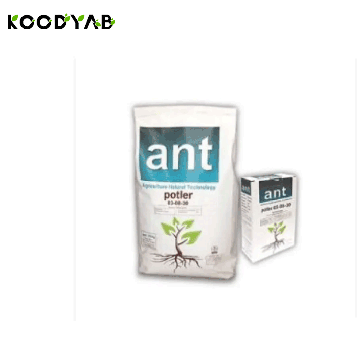 کود پوتلر اِی اِن تی