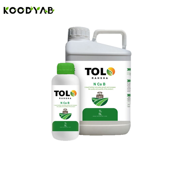 کود کلسیم و بور طلوع رهشا