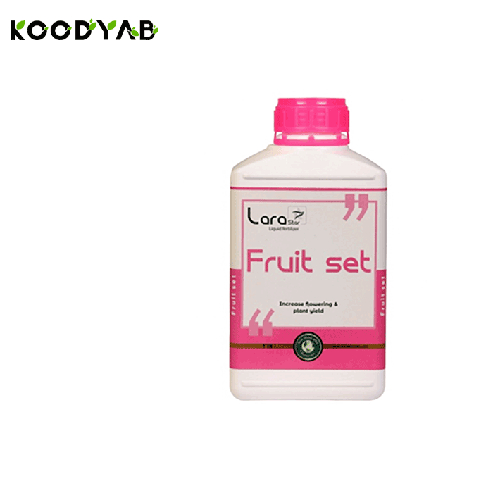 کود فروت ست لارااستار