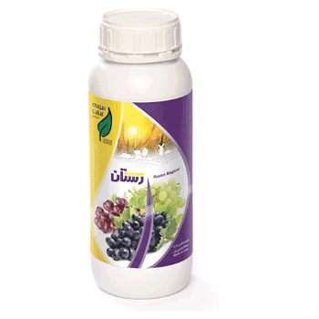 کود مجیکال رستان 