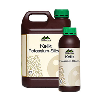 کود کلیک پتاسیم سیلیکون آتلانتیکا