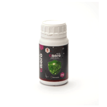 کود جیبرو پوماگرو