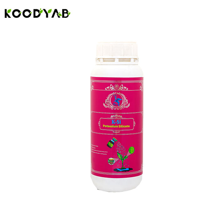 کود سیلیکات پتاسیم کلاسیک سبزکاوشان 