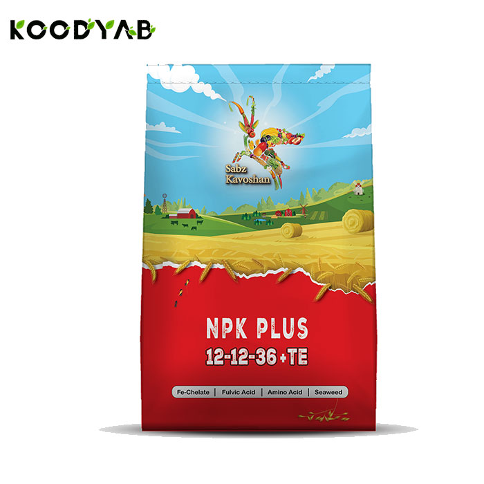 کود 36 12 12 کلاسیک سبزکاوشان