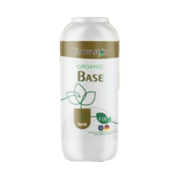 کودارگانو بیس گرواستار