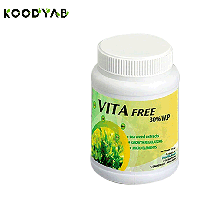 کود وايتا فري هورتیلند