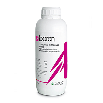 کود بر نواگرو