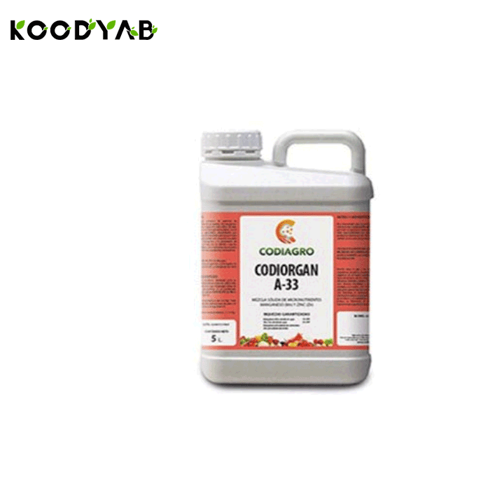 کود کدی ارگان آ 33 کودیاگرو