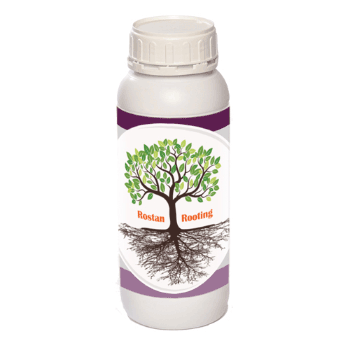 کود ریشه زا رستان  