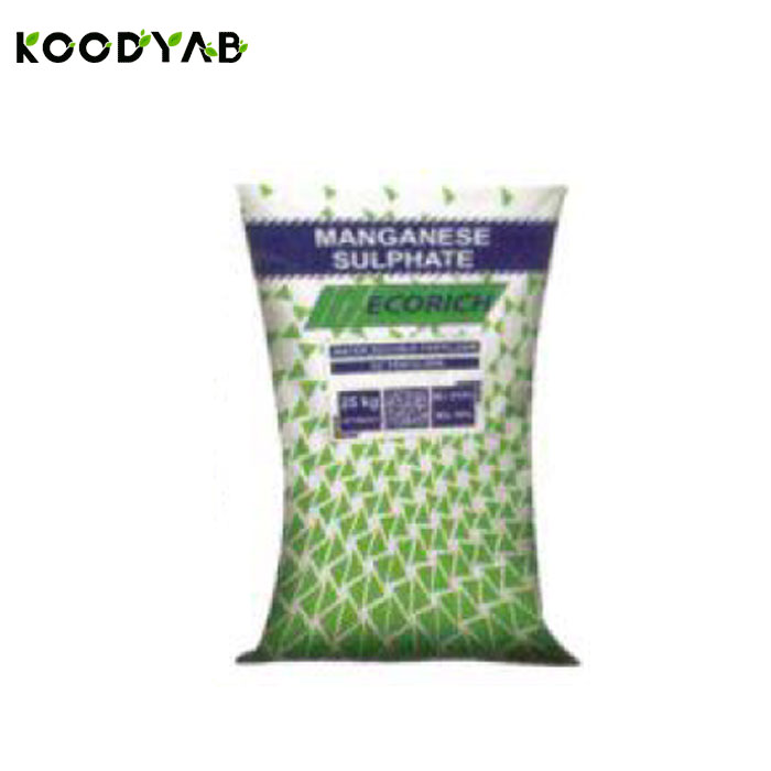 کود سولفات منگنز مونوهیدرات اکوریچ 