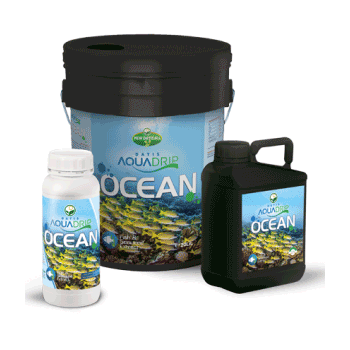 کود اکوا دریپ اوشن داتیس