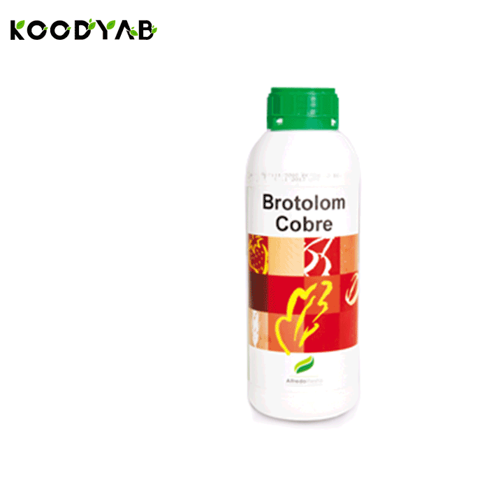 کود بروتولوم کبر آلفردواینستا