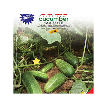 کود ویژه خیار اکیس