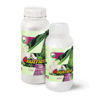 کود کلم داتیس