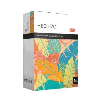 کود هچیزو ریکو