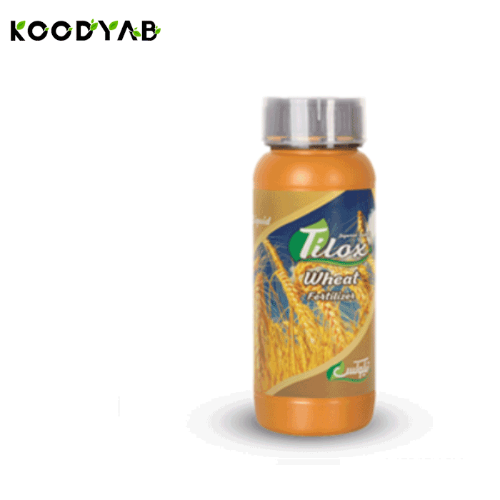 کود گندم تیلوکس