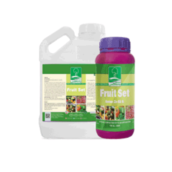 کود فروت ست به ماکس