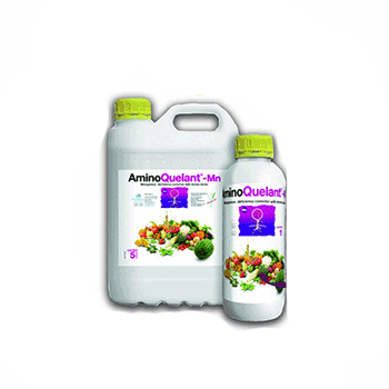 کود آمینو کوالانت منگنز بیوبریکا